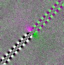 2D Schrodinger wave function pair